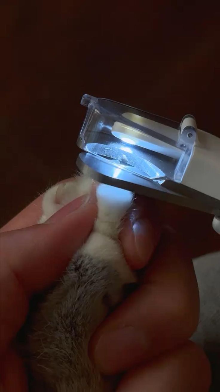 FluffyFresh GlowTrim – LED Pet Nail Clippers